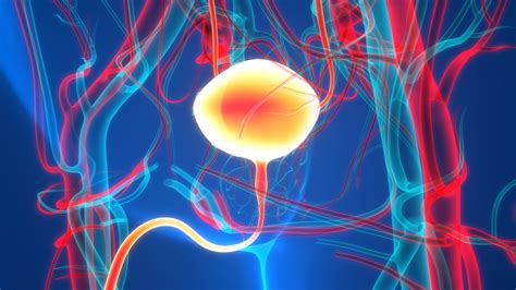 New Bladder Cancer Classification Predicts Treatment Response