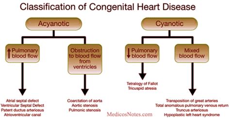 Hereditary Heart Disease Causes Types And Treatment