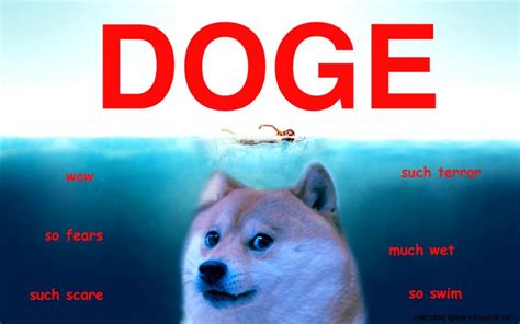 Maybe you would like to learn more about one of these? Doge Meme Wallpaper #wallpapers #2020 | Dog jokes, Doge
