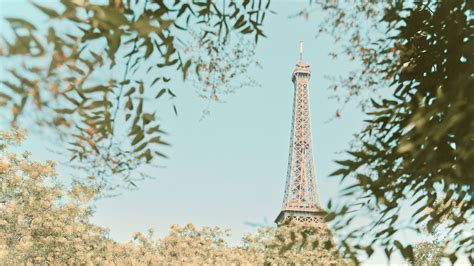 Download Wallpaper 2048x1152 Eiffel Tower Tower Branches Trees