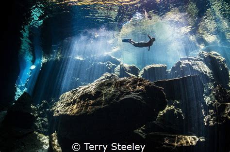 Underwater Photo Medal Winners 201516