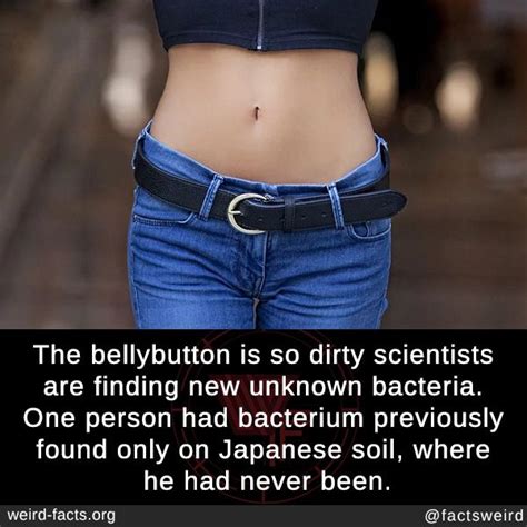 Weird Facts About Your Belly Button You Probably Didnt Know World My