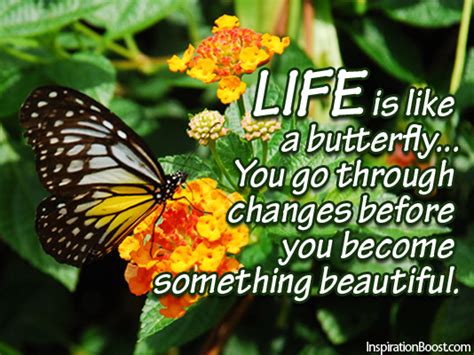 Life Is Like A Butterfly Inspiration Boost