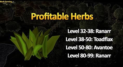 Complete Herb Farming Guide For Osrs Herb Run Guide