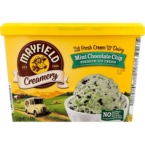 Mint Chocolate Chip Ice Cream 15 Quart Mayfield Dairy Farms®