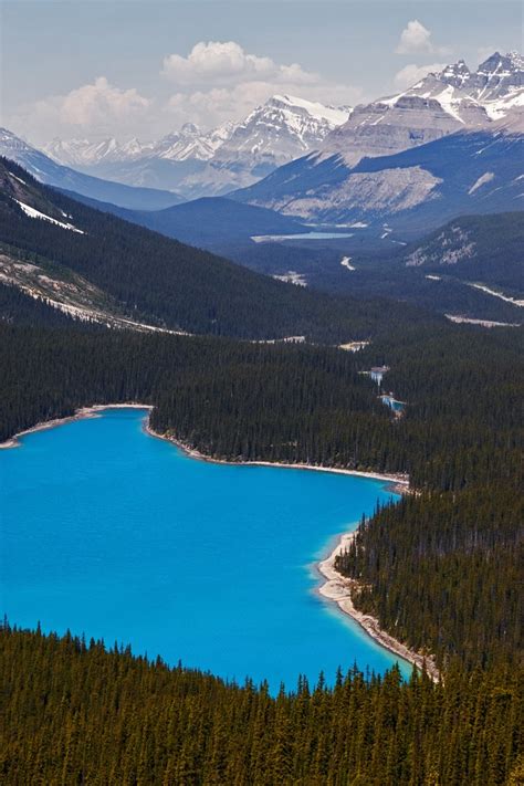 Peyto Lake Alberta National Parks Beautiful Landscapes Photo