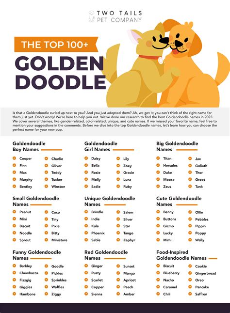 The Top 100 Goldendoodle Names In 2024 Two Tails Pet Company