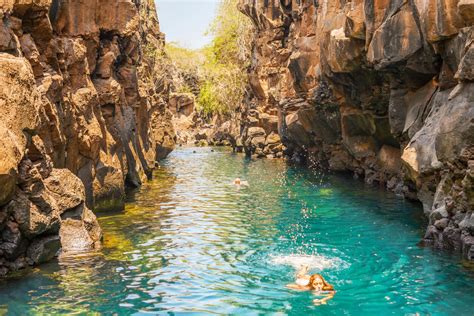 The santa cruz island reserve was established in 1966 to provide access, assistance, and facilities to researchers and classes for studies of archaeology, marine and terrestrial biology, geography. Travel guide to Santa Cruz Island (Ecuador)