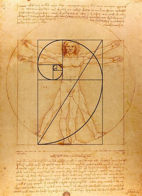 The Golden Ratio Divine Rule For Perfect Beauty Dr