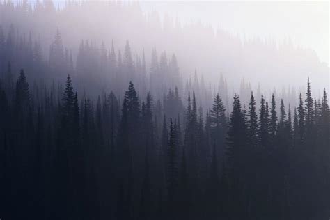 .pc backgrounds, aesthetics background, aesthetic wallpapers hd, aesthetic wallpaper 1080p, desktop backgrounds tumblr aesthetic blue and white aesthetic, aesthetic pixel background, yellow aesthetic desktop wallpaper, aesthetic picture ideas, cute aesthetic backgrounds, dark. 49+ Aesthetic Tumblr backgrounds Black ·① Download free ...