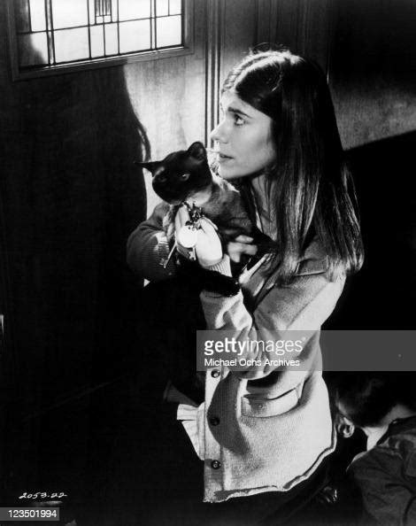 sian barbara allen holding siamese cat in a scene from the film news photo getty images