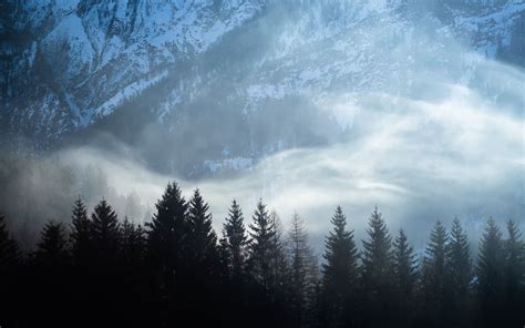 Download Wallpaper 3840x2400 Trees Snow Fog Mountains Landscape 4k