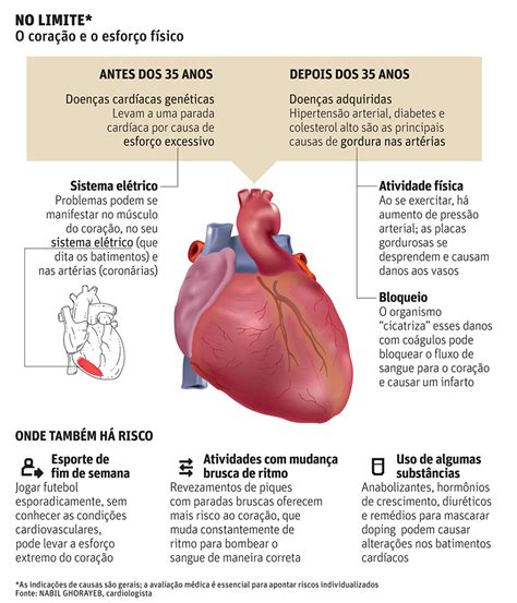 Batimentos cardíacos podem indicar doenças e são fatores de risco de vida Saúde Portal O Dia