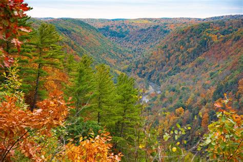 12 Best Spots To See Pennsylvanias Fall Foliage Territory Supply