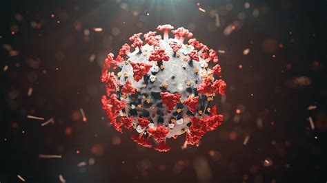 New Study Shows Coronavirus Lockdowns Are Ineffective Fox News Video