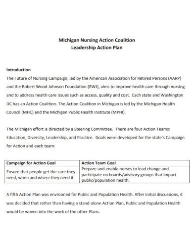 Nursing Action Plan 10 Examples Format Pdf Examples