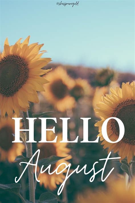 Sunflowers With The Words Hello August In Front Of Them And A Sky