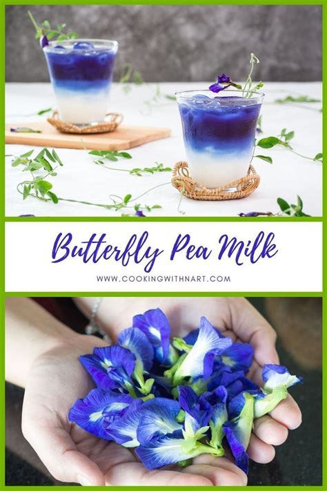 Butterfly pea is fast becoming one of the most popular products in bars, popping up in bitters and tinctures. Butterfly Pea Milk | Recipe in 2020 (With images)