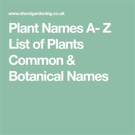 Plant Names A Z List Of Plants Common And Botanical Names Botanical