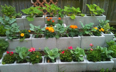 Top 10 Cinder Block Raised Garden Bed Ideas