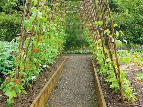 Raised bed soil also has a higher percentage of organic material, which includes manure, than does garden soil. Tips on trellises, raised beds - www.scliving.coop