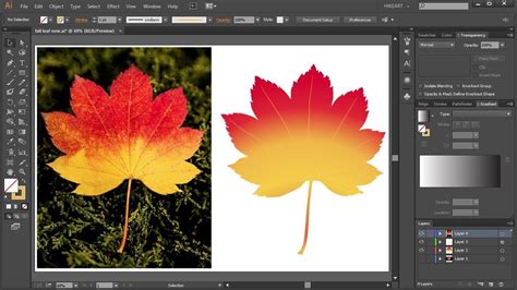 How To Convert A Jpeg Image Into A Vector Graphic In Adobe Illustrator