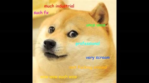 So Doge Much Wow Theme Song Youtube