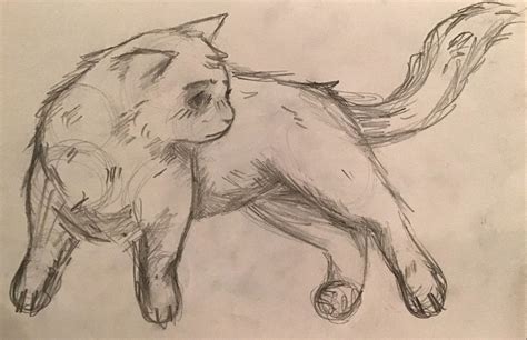Cat Sketch Warrior Cats