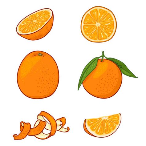 Orange Peels Illustrations Royalty Free Vector Graphics And Clip Art