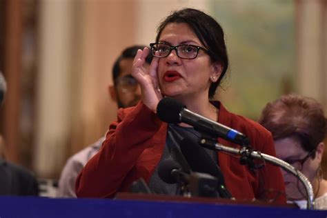 Dingell Tlaib Urge Democratic Candidates To Tackle Immigration Reform