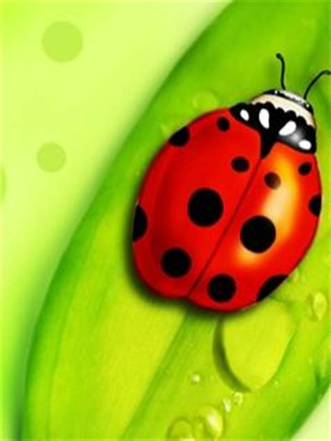 Buburuza și motan noir | disney channel românia | un zombi iubăreț. Buburuza - Natura-Peisaje - Poze pentru mobil