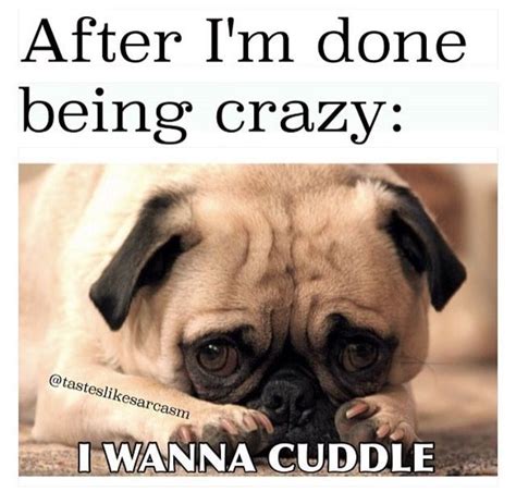 Pin By Diana On Humor Cuddle Quotes Me And My Dog Funny Bf
