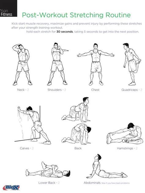 Image Result For Stretches For Kids Post Workout Stretches Pre