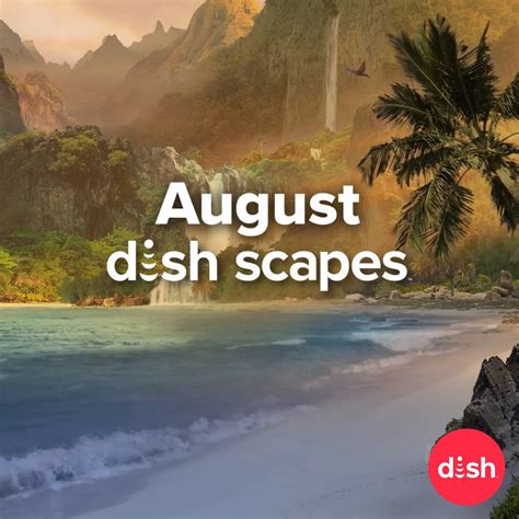 August Dish Scapes Bask In The Final Weeks Of Summer With The Hidden