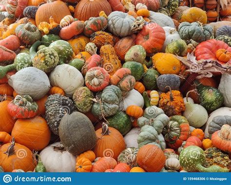 Beautiful Fall With Pumpkin Decoration All Kinds Of