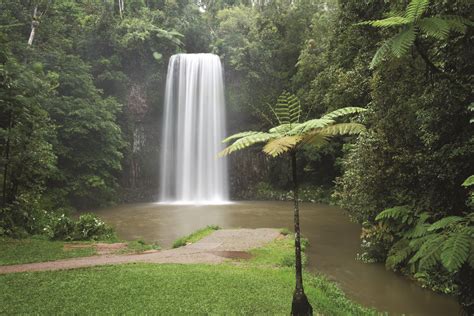 Travel The Wet Tropics World Heritage Area Australian Geographic