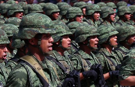 Ejército Mexicano Dice Que Amapola Legal Debe Prever Bajapress