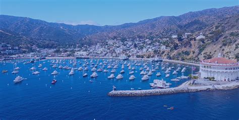 Everything About Catalina Island
