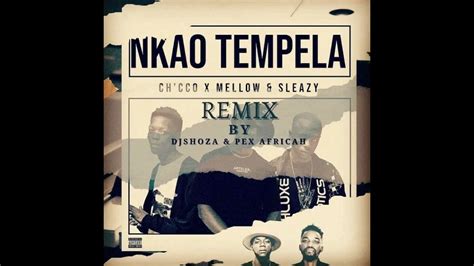 Nkao Tempela Dj Shoza And Pex Africah Remix Youtube