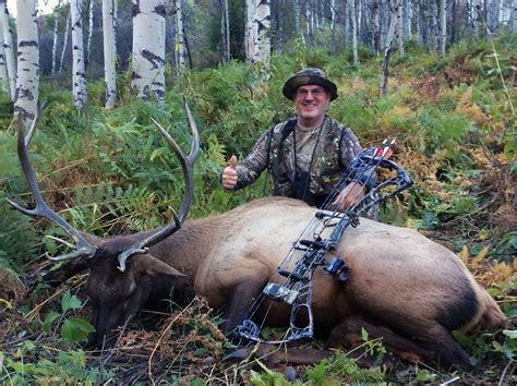 Colorado Archery Elk Hunting Elk Hunting