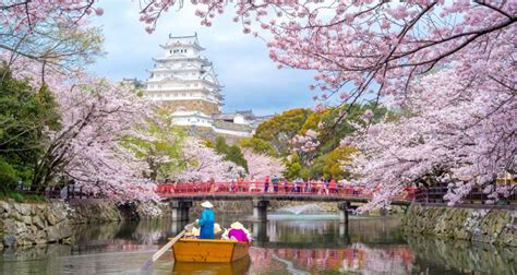 Japan Delight Tokyo Kyoto 7 Days By Intertrips With 3 Tour Reviews