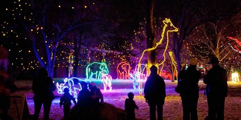2021november Zoo Lights 4 Member Tickets Rocky Mountain Pipeliners Club