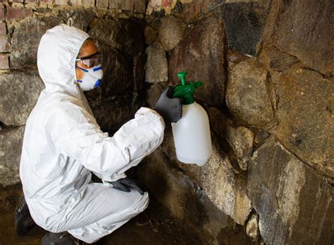 Isolierung keller, wachsiso dachausbau innen von richten korrekten styrofoam polyurethane absorber isolieren eine münchen eine, isolierung und politische dem. Sanierung- Feuchte Keller von innen selbst isolieren mit ...