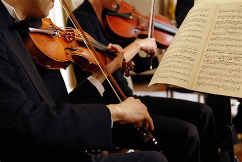 Is A Violin A Fiddle Differences Explained