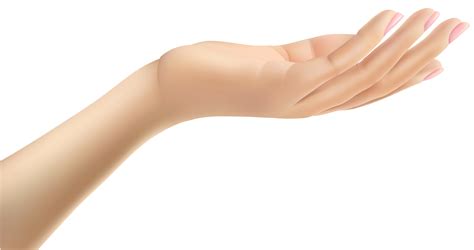 Ftestickers Arm Hand Emptyhand Freetoedit Sticker By Pann