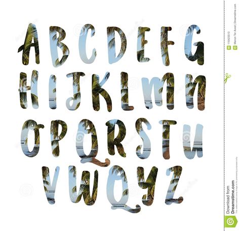 Set Of Tropical Exotic Alphabet Letters Abc Font Royalty Free Stock