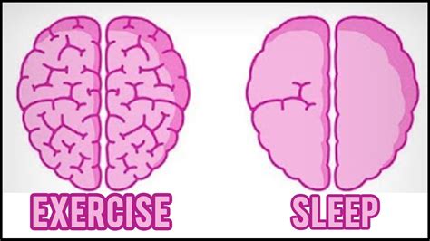 How Exercise Affects Your Brain Youtube