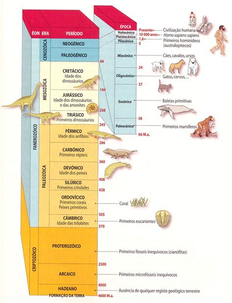 Eras Geológicas Evidências Da Evolução