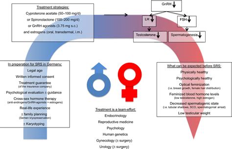 Andrology Of Male‐to‐female Transsexuals Influence Of Cross‐sex