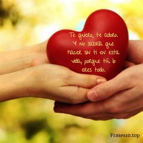 Frases bonitas para decir te amo. Imágenes de amor - 【 Doncomo.com